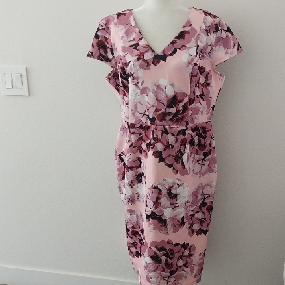 JACLYN SMITH Classic Capped Sleeve Floral Pink and Purple Dress size XXL